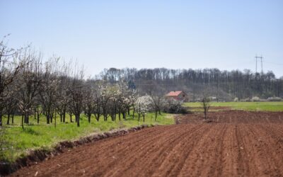 Општина Ћуприја: Скоро 12 милиона за развој пољопривреде